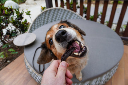 Beef Heart