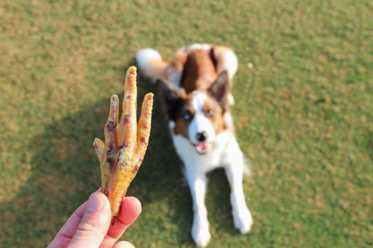 Chicken Feet